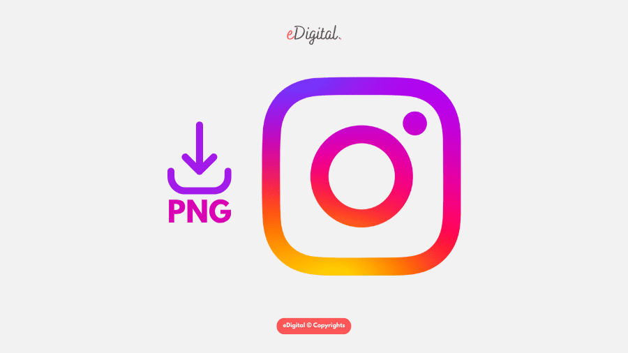 Mastering Instagram to Unlock the Secrets of Precision Marketing