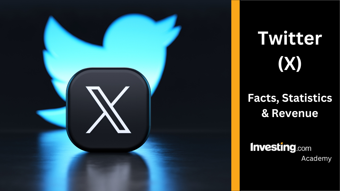 Get New Zealand area codes and phone numbers in one click! Analyze WhatsApp user activity to optimize your social media strategy.